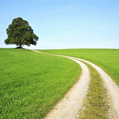 半岛平台官方网站入口